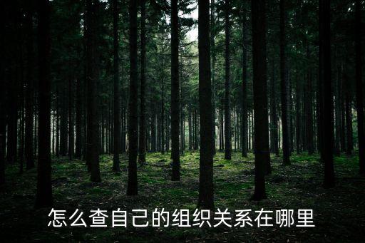 上海市中醫(yī)院組織關系，我的組織關系到底在哪啊我怎么轉正啊