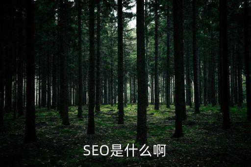優(yōu)化英文，新站英文網(wǎng)站如何更好的優(yōu)化