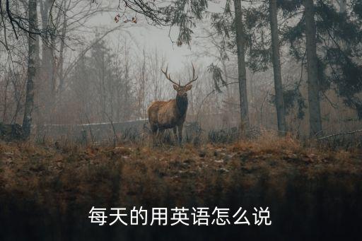 每天的用英語(yǔ)怎么說(shuō)