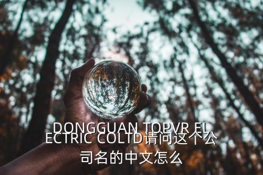 東莞力豐音響有限公司，DONGGUAN TOPVR ELECTRIC COLTD請問這個公司名的中文怎么