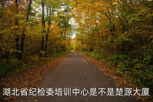 湖北省紀(jì)檢委培訓(xùn)中心是不是楚源大廈