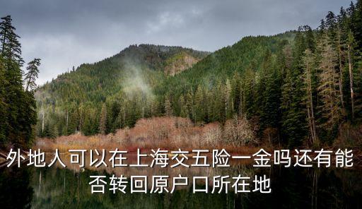 外地人上海市五險一金，外地人在上海交五險一金有多大用處