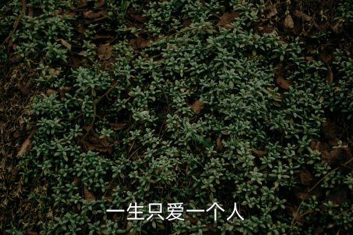 一生只愛一人，一生只愛一個人