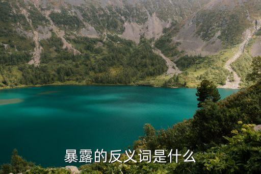 暴露的反義詞是什么