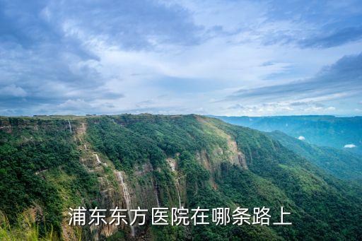 浦東東方醫院在哪條路上