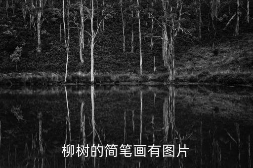 柳樹的簡筆畫有圖片