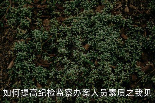 如何提高紀(jì)檢監(jiān)察辦案人員素質(zhì)之我見