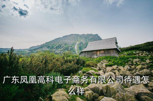東莞市電商公司招聘，我是學電子商務專業的請問哪有招聘電子商務的呀長安地區的