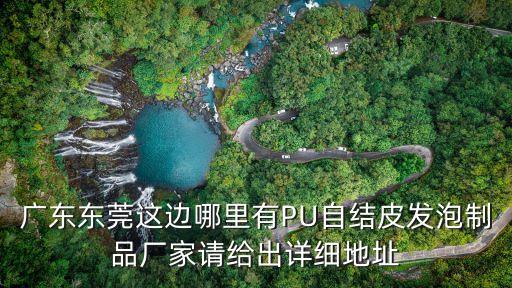 東莞人造革廠家 發(fā)泡，東莞哪里有制作PU自結(jié)皮發(fā)泡制品的廠家請(qǐng)給出具體地址謝謝