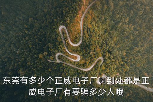 東莞有多少個(gè)正威電子廠啊到處都是正威電子廠有要騙多少人哦