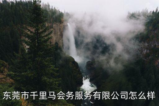 東莞市千里馬會務服務有限公司怎么樣