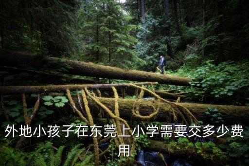 外地小孩子在東莞上小學需要交多少費用