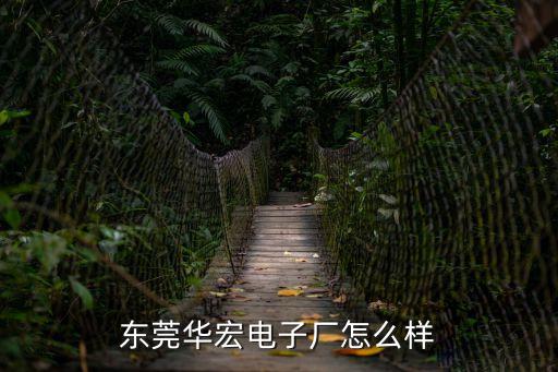 東莞華宏 dba，東莞華宏眼鏡廠怎么樣2022