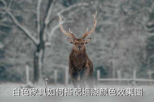 墻面漆顏色效果圖，家裝現(xiàn)在墻漆都什么顏色客廳臥室顯得上檔次一點