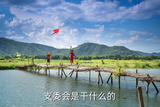支委會，什么是支部委員會
