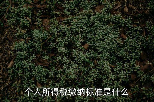 個人所得稅扣稅，個人所得稅繳納標準是什么