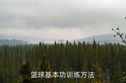 籃球訓練方法，求訓練籃球的方法