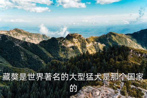 大型猛犬，藏獒是世界著名的大型猛犬是那個(gè)國(guó)家的
