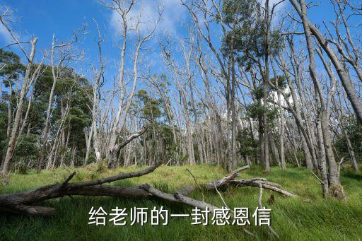 對老師的感謝信，寫給老師的感謝信