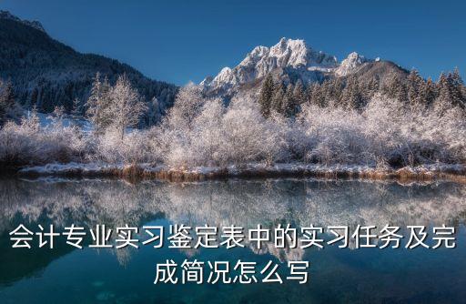 實習任務完成情況，會計專業實習鑒定表中的實習任務及完成簡況怎么寫