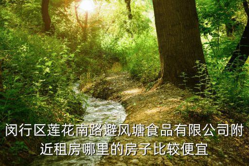 上海市閔行區房子出租蓮花路，想在上海閔行借房子距離蓮花路較近的地方便宜點的比較好誰有