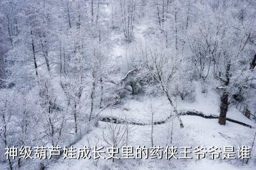 王健儀，神級(jí)葫蘆娃成長(zhǎng)史里的藥俠王爺爺是誰(shuí)