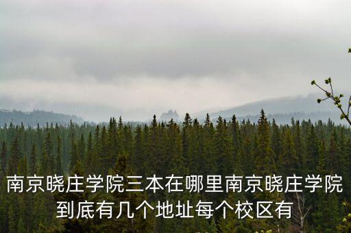 南京曉莊學院三本在哪里南京曉莊學院到底有幾個地址每個校區有