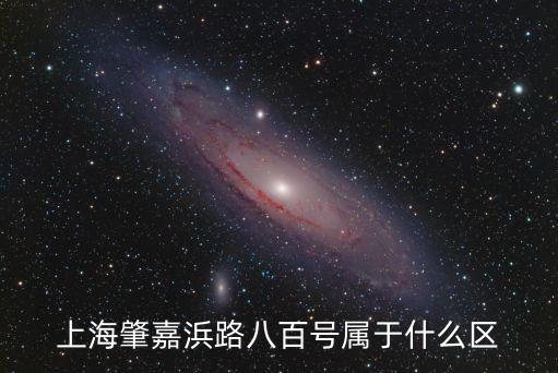 上海市肇嘉浜路800號(hào)11樓，上海肇嘉浜路八百號(hào)屬于什么區(qū)