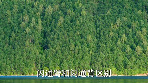 閃通臂和閃通背區(qū)別