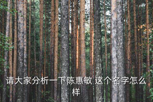 請大家分析一下陳惠敏 這個名字怎么樣