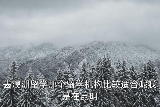 留學(xué)機(jī)構(gòu)排名，出國留學(xué)中介前十名有哪幾個(gè)