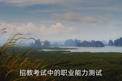 教師職業能力測試，招教考試中的職業能力測試