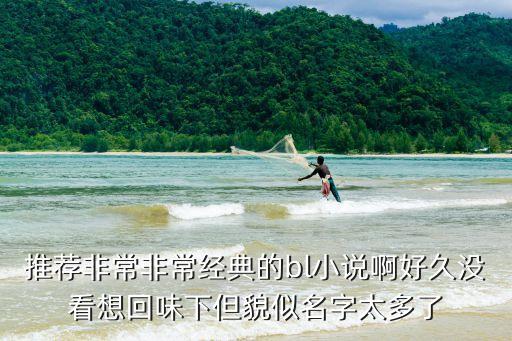 小說耽美，說幾本好看的BL小說最好完結了的