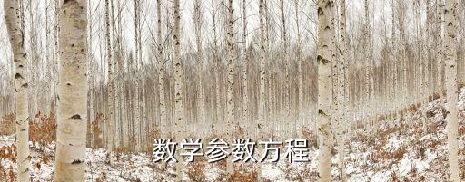 參數(shù)方程公式，數(shù)學(xué)參數(shù)方程