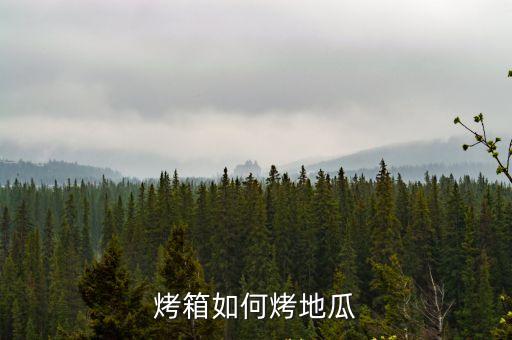烤箱如何烤地瓜