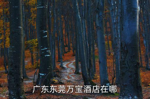 廣東東莞萬寶酒店在哪
