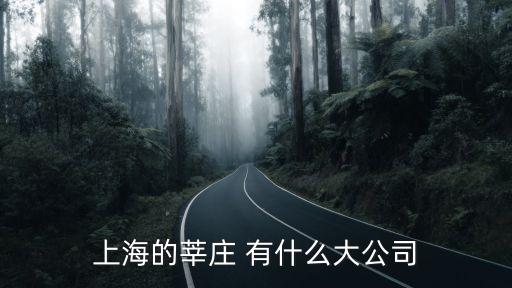 上海的莘莊 有什么大公司