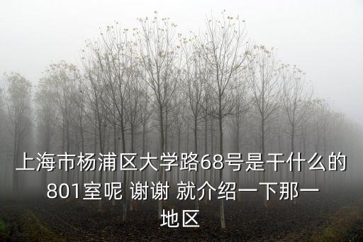 上海市楊浦區(qū)大學路68號是干什么的 801室呢 謝謝 就介紹一下那一地區(qū)