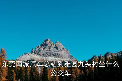 東莞南城汽車總站到雅園九頭村坐什么公交車