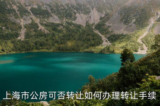 上海市住房轉租，上海公租房可以轉租嗎