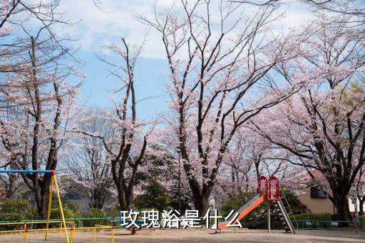 玫瑰浴是什么