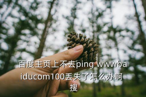 東莞通有幾種圖案，百度主頁上不去ping wwwbaiducom100丟失了怎么辦啊  搜