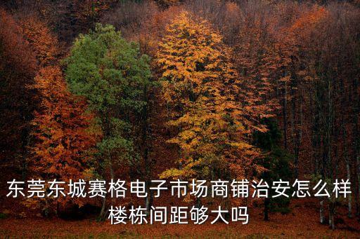 東莞東城賽格電子市場商鋪治安怎么樣樓棟間距夠大嗎