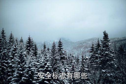 安全標(biāo)志有哪些