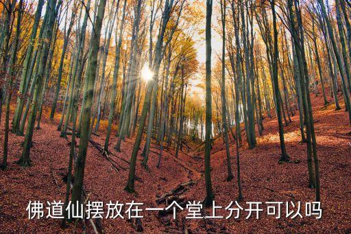 佛道仙，佛道仙擺放在一個堂上分開可以嗎