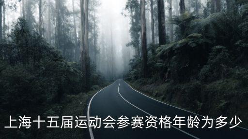 上海十五屆運動會參賽資格年齡為多少