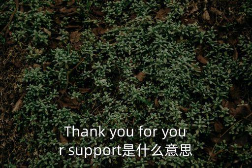 感謝支持，Thank you for your support是什么意思