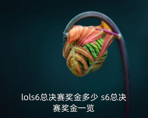 s6決賽，s6總決賽skt和rng的決勝局