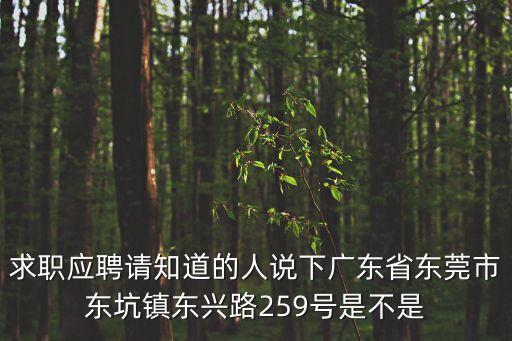 東莞塑料恒鈺，求職應聘請知道的人說下廣東省東莞市東坑鎮東興路259號是不是