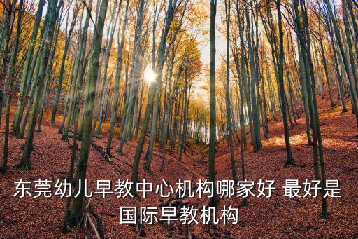 東莞幼兒早教中心機構哪家好 最好是國際早教機構